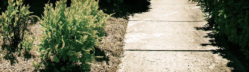 轰炸手机号信息软件免费版